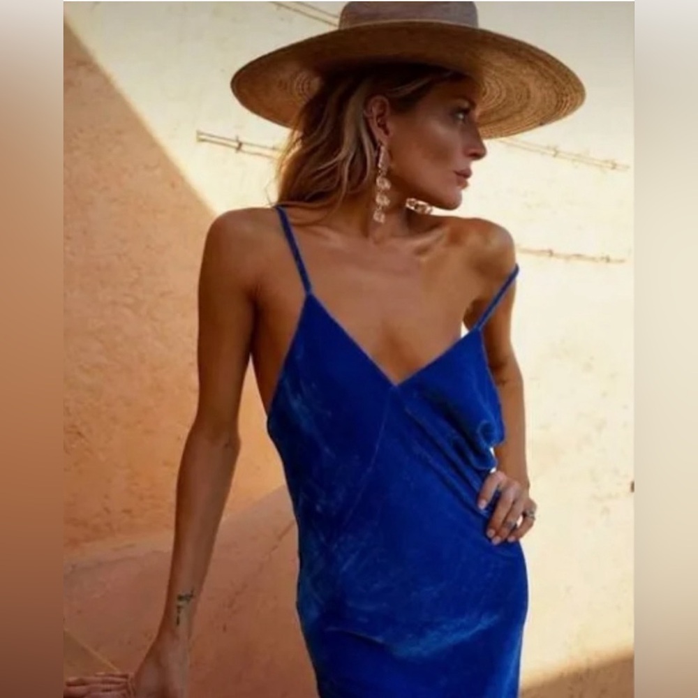 Rat and Boa Blue Velvet Dress